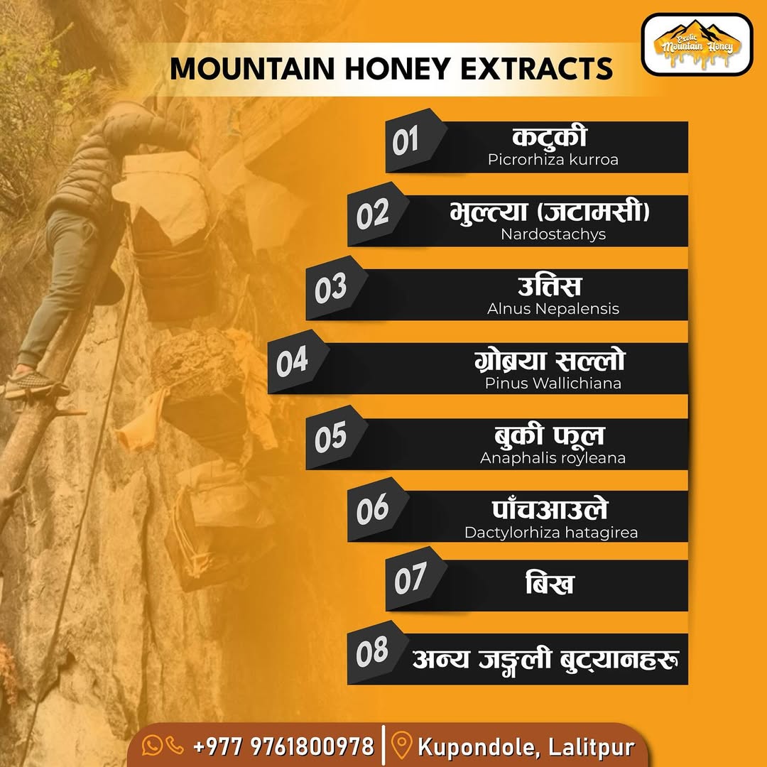 Organic Exotic Mountain Honey 650Gm